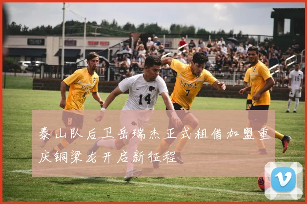 泰山队后卫岳瑞杰正式租借加盟重庆铜梁龙开启新征程